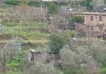 Rif. 2227 – Cogorno – Sulla prima collina di Lavagna – Terreno con Progetto Approvato per costruire Villa con splendida