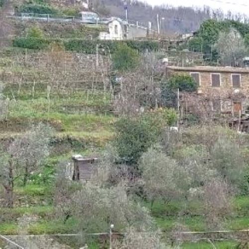 Rif. 2227 – Cogorno – Sulla prima collina di Lavagna – Terreno con Progetto Approvato per costruire Villa con splendida