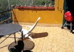 Penthouse in a semi-detached villa with independent entrance, terrace on the floor and garden