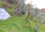 Rif. 2227 – Cogorno – Sulla prima collina di Lavagna – Terreno con Progetto Approvato per costruire Villa con splendida