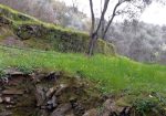 Rif. 2423 – Rapallo – Villino Bipiano di cento metriquadrati – Località Coreglia – A pochi minuti dal Santuario di Monta
