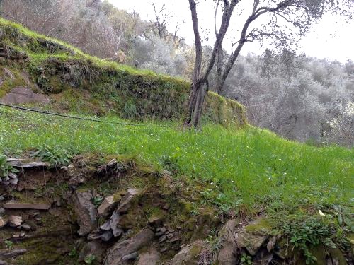 Rif. 2423 – Rapallo – Villino Bipiano di cento metriquadrati – Località Coreglia – A pochi minuti dal Santuario di Monta