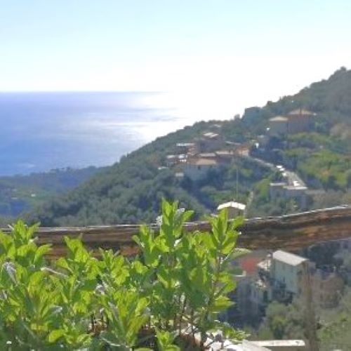 Rif. 2227 – Cogorno – Sulla prima collina di Lavagna – Terreno con Progetto Approvato per costruire Villa con splendida