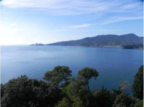 Private villa on the cleanest cliffside of the Tigullio Gulf, featuring direct sea access in Zoagli