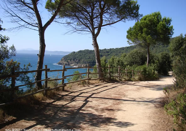Front sea apartment in the center of Follonica, Tuscany