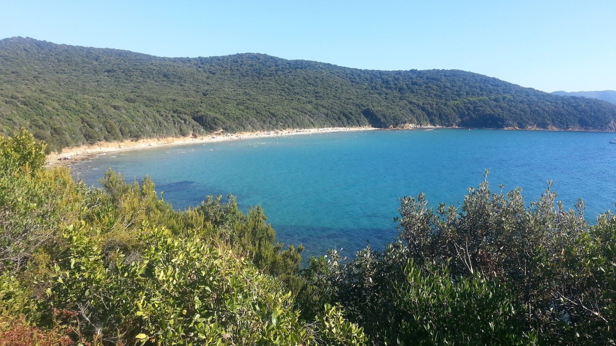Front sea apartment in the center of Follonica, Tuscany