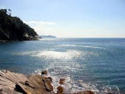 Private villa on the cleanest cliffside of the Tigullio Gulf, featuring direct sea access in Zoagli