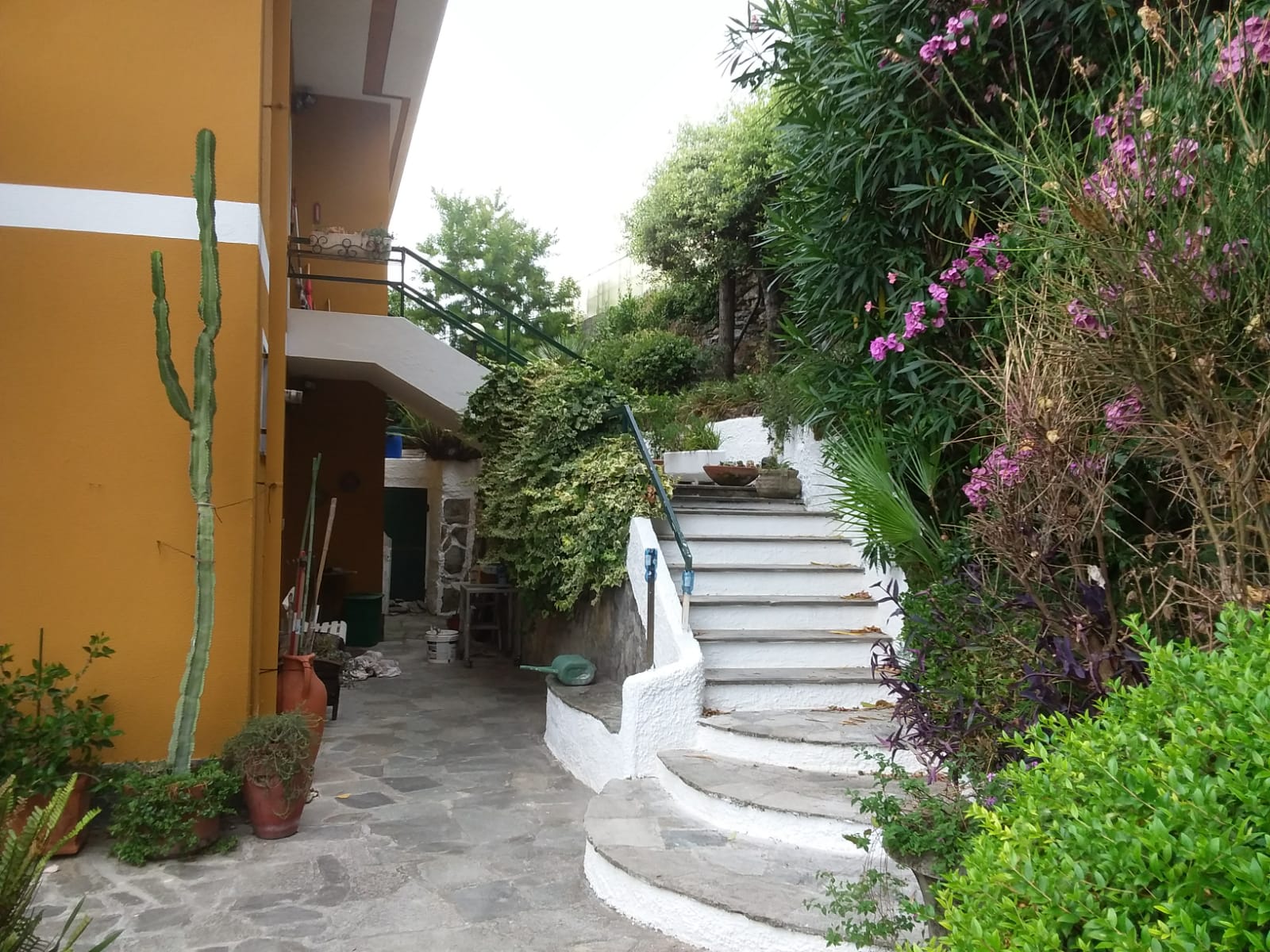 Rif. 1093 – Rapallo-Zoagli – Attico in villa bifamigliare con ingresso indipendente, terrazza al piano e giardino – Al c