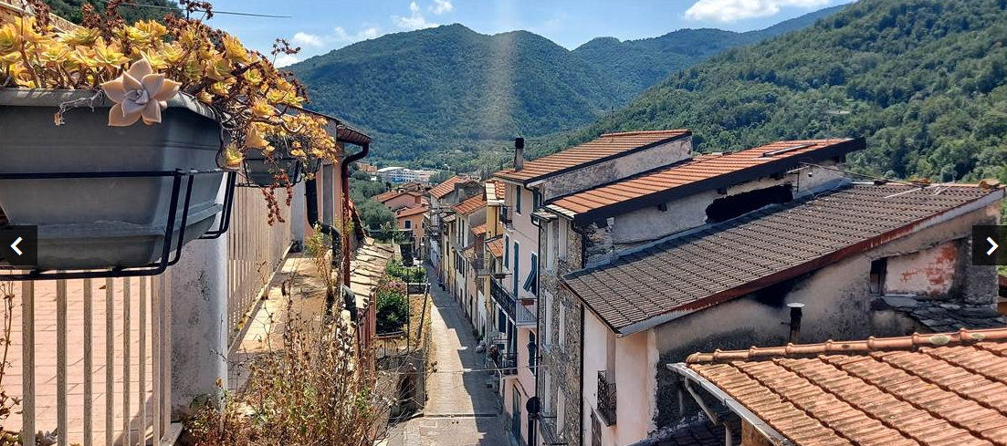 House of 3 apartments, garage, terrace and garden