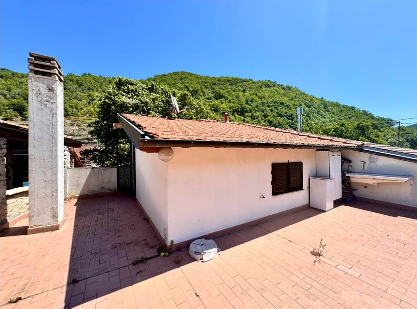 House of 3 apartments, garage, terrace and garden