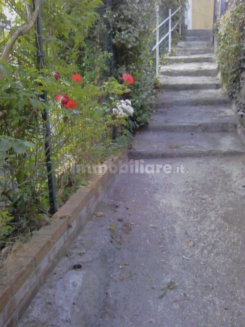 Rif. 1763 – Rapallo – S. Andrea di Foggia – Villa nel verde di centocinquanta metriquadrati – Vista aperta e soleggiata