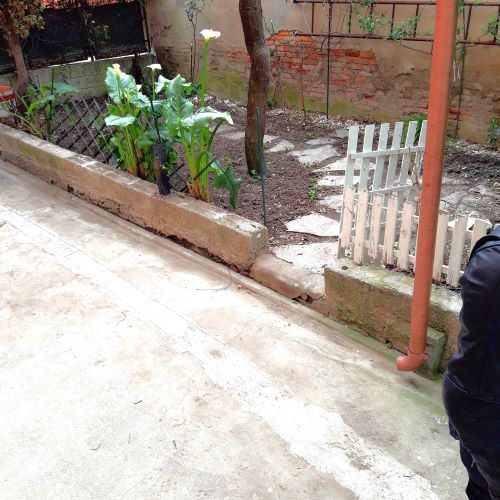 Rif. 1237 – Lavagna – Quadrilocale con Giardino a 50 metri dal mare, dalla Stazione Ferroviaria e fermate Bus – In zona