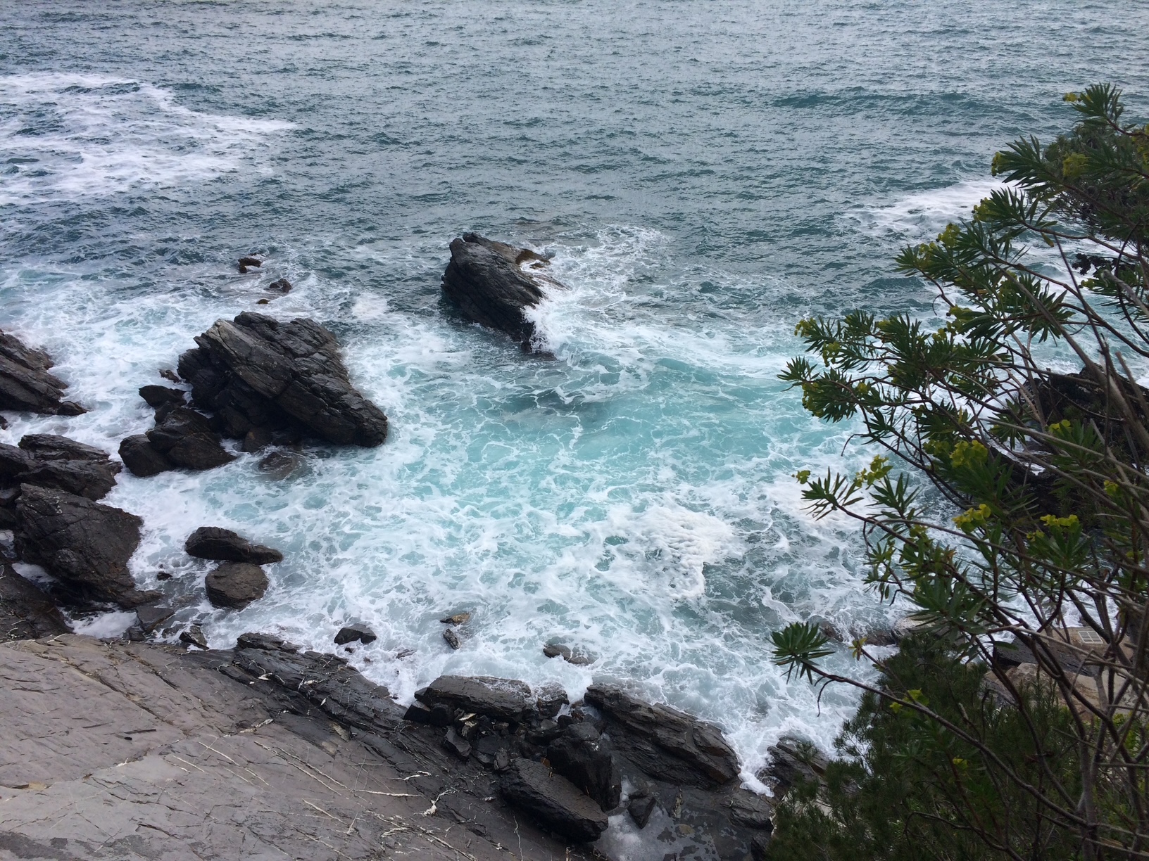 Rif. 2777 – Zoagli – Villa indipendente sulla scogliera più incontaminata del Golfo del Tigullio, con accesso privato al