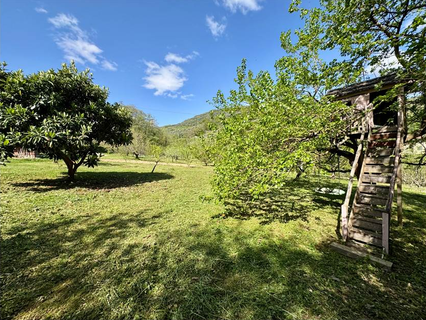 Fully renovated detached house with swimming pool, 9,000 sqm of garden