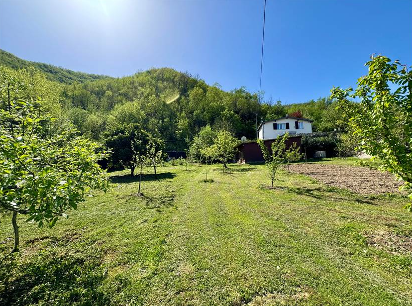 Fully renovated detached house with swimming pool, 9,000 sqm of garden