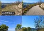 Panoramic Villa in Monferrato with Over 2 Hectares of Private Land – Rare Opportunity to Complete and Customize