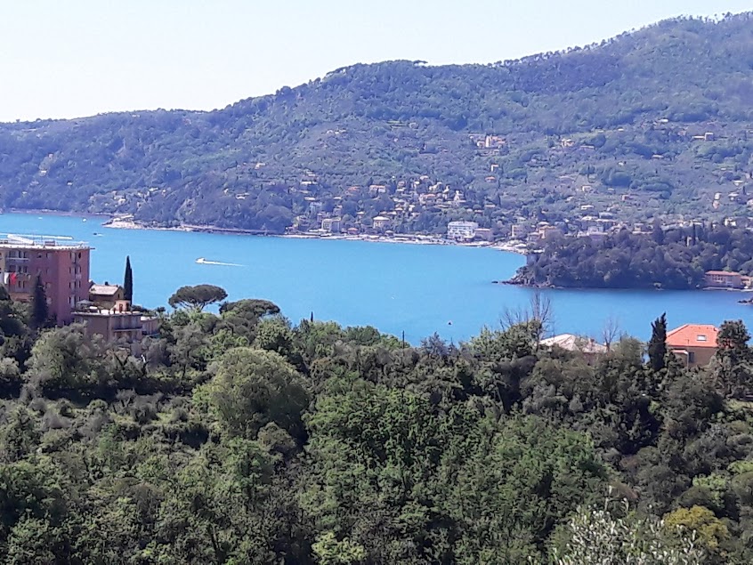Penthouse with sea view in a two-family villa with independent entrance in Rapallo, Zoagli